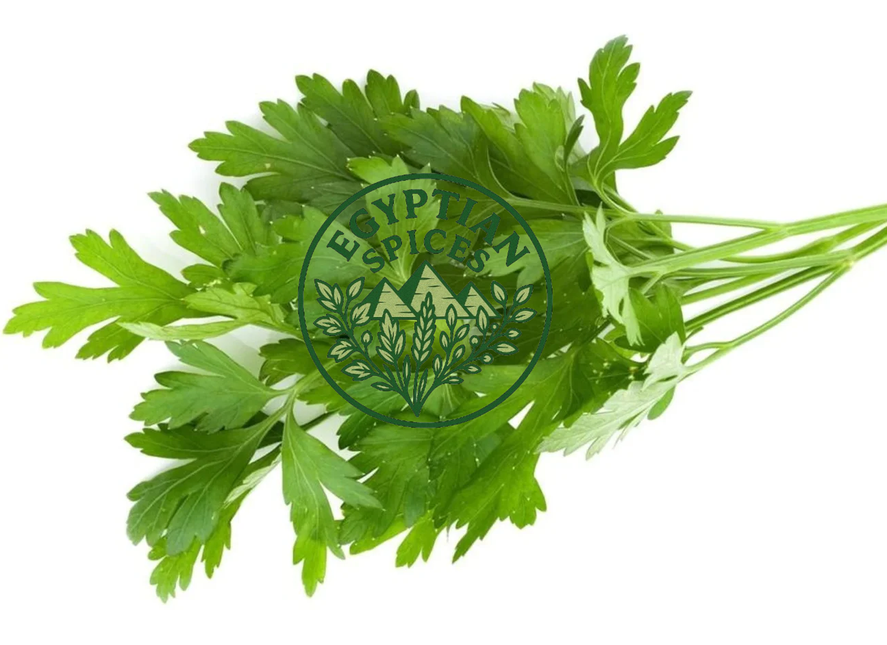 Parsley