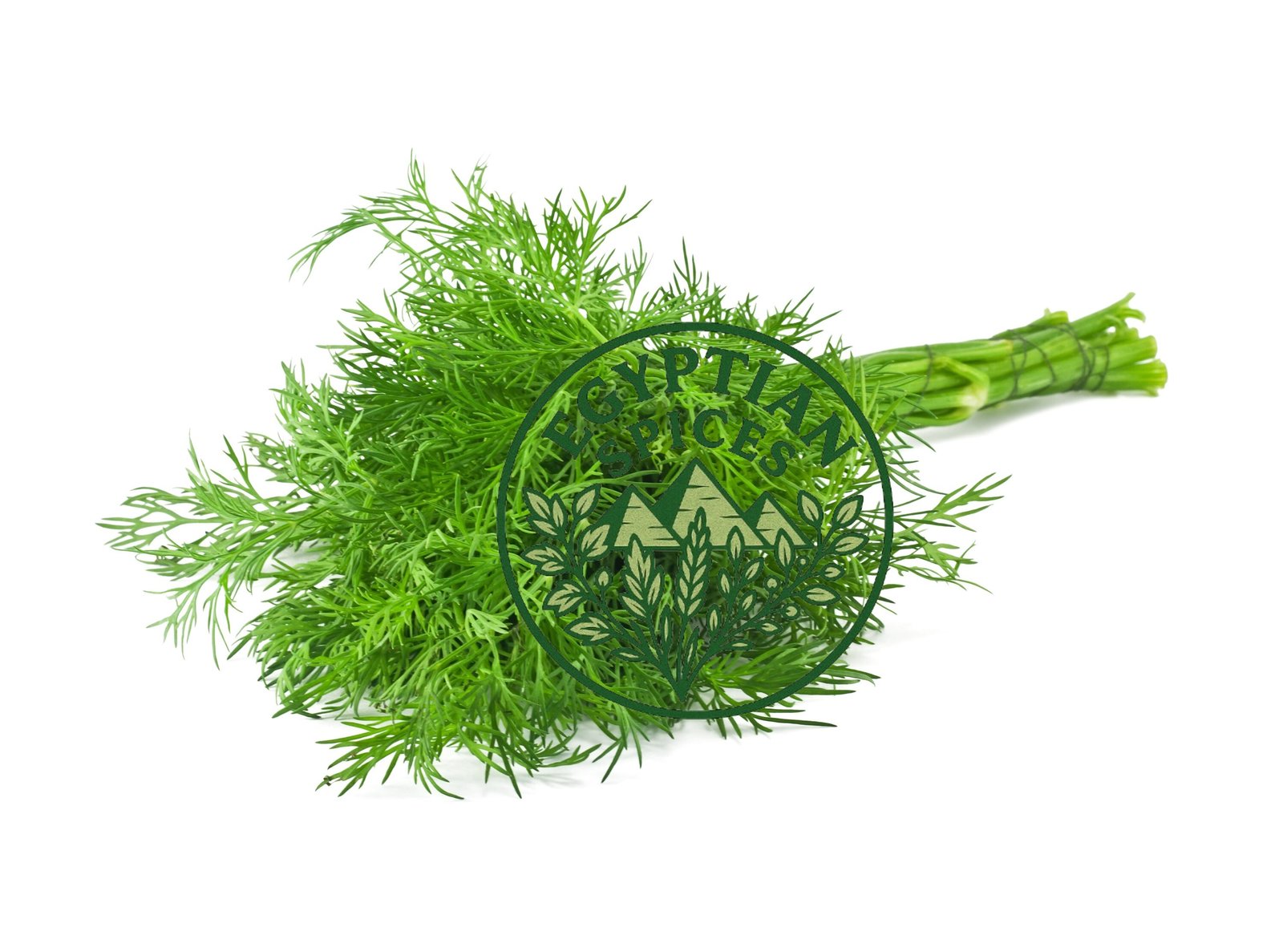 dill leaves