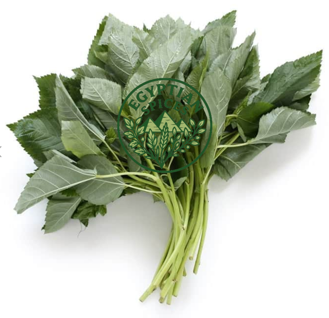 Molokhia leaves Jews Mallow