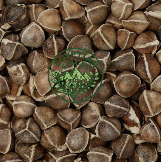 moringa seeds